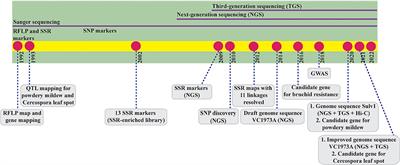 Thirty Years of Mungbean Genome Research: Where Do We Stand and What Have We Learned?